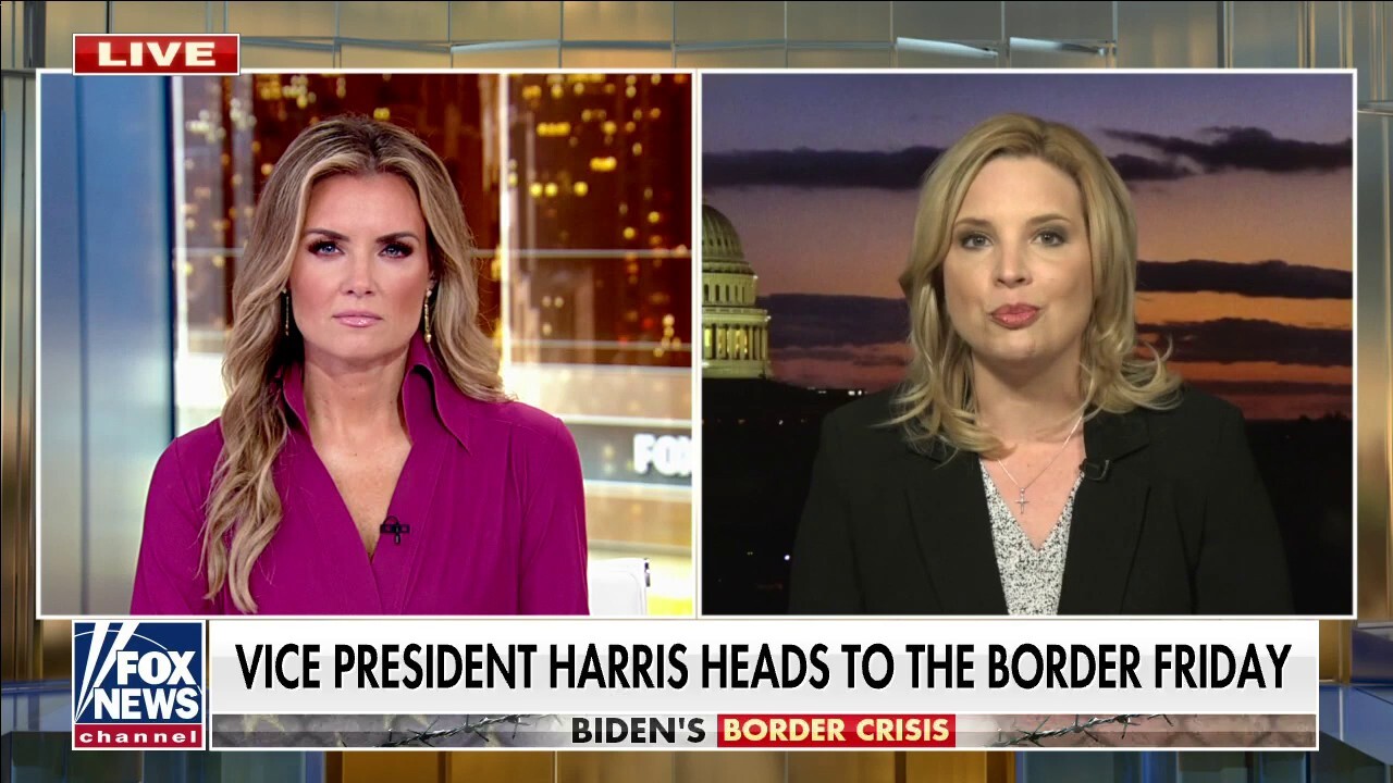 Rep. Hinson rips VP for handling of border crisis: 'She was busy visiting yarn shops and bakeries'