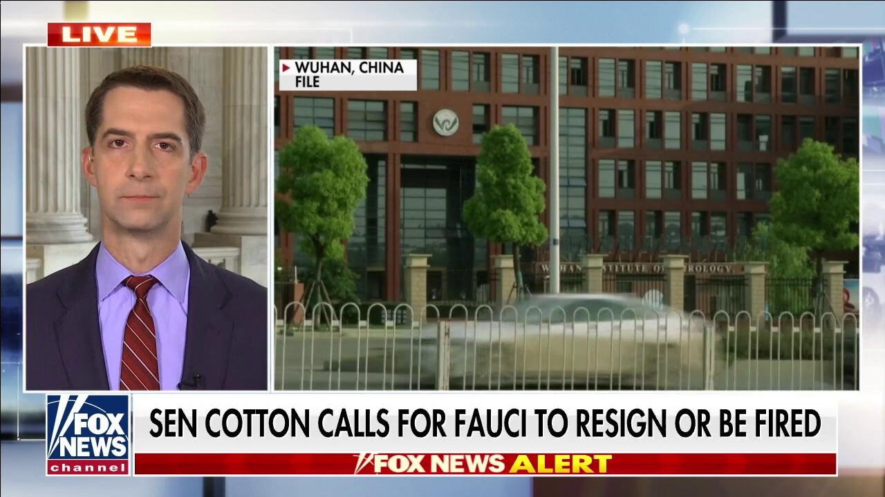 Sen. Cotton calls for Fauci to resign or be fired
