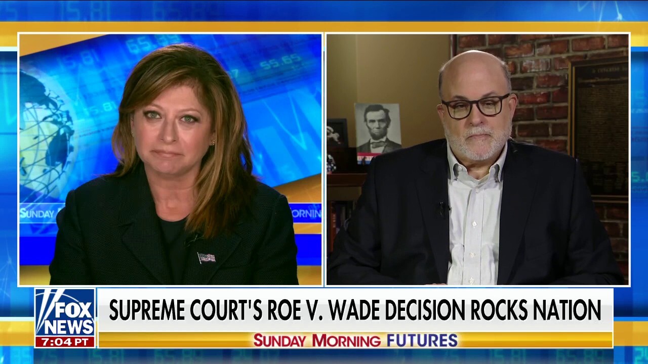 Mark Levin on SCOTUS abortion ruling: 'We have 50 states for a reason'
