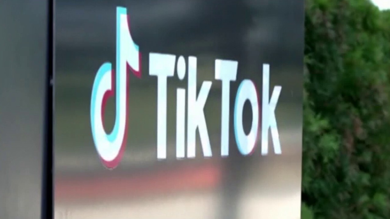 TikTok to sue Trump administration over ‘unconstitutional’ ban 