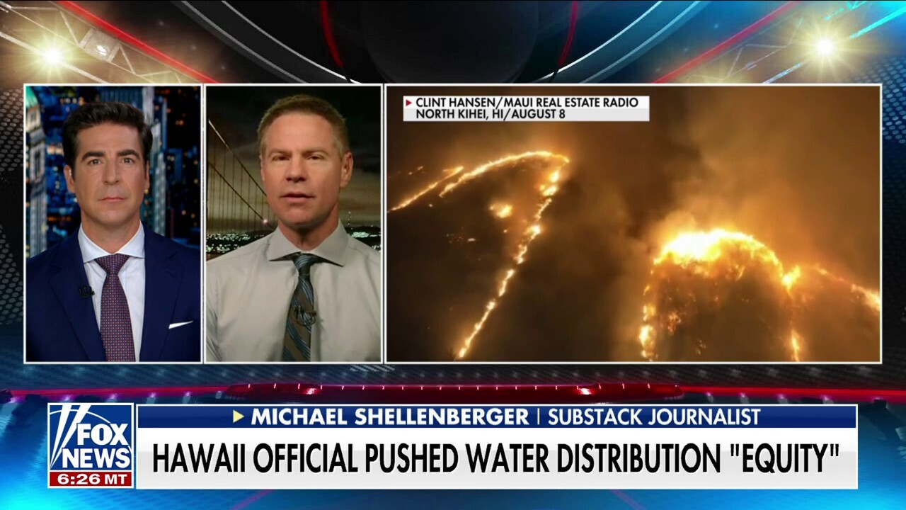 Maui fire an ‘ideology driven disaster’: Michael Shellenberger