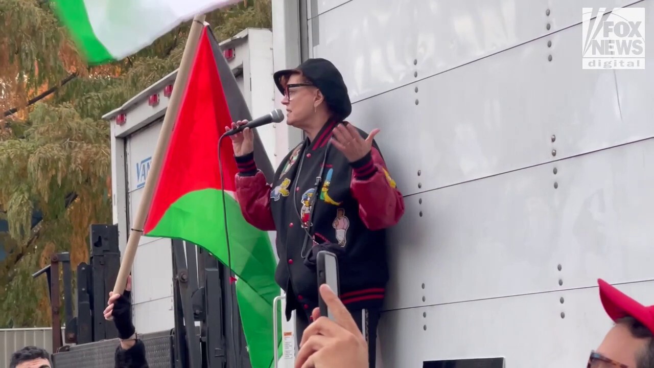 Сюзън Сарандън се извини за „ужасната грешка“ да направи антиеврейски коментари на про-палестинския митинг