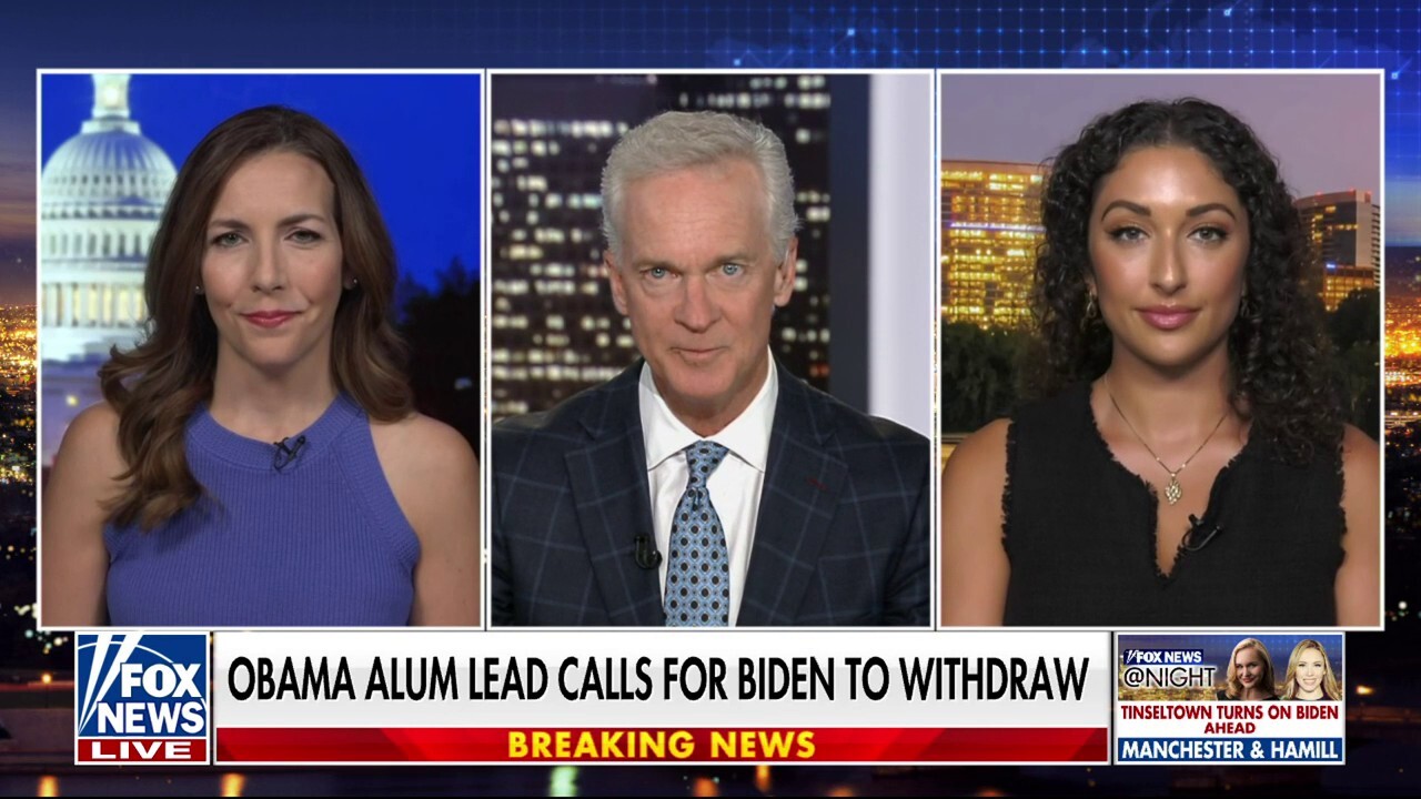 Biden isn't in the race for the American people, he's in it 'for himself': Roma Daravi