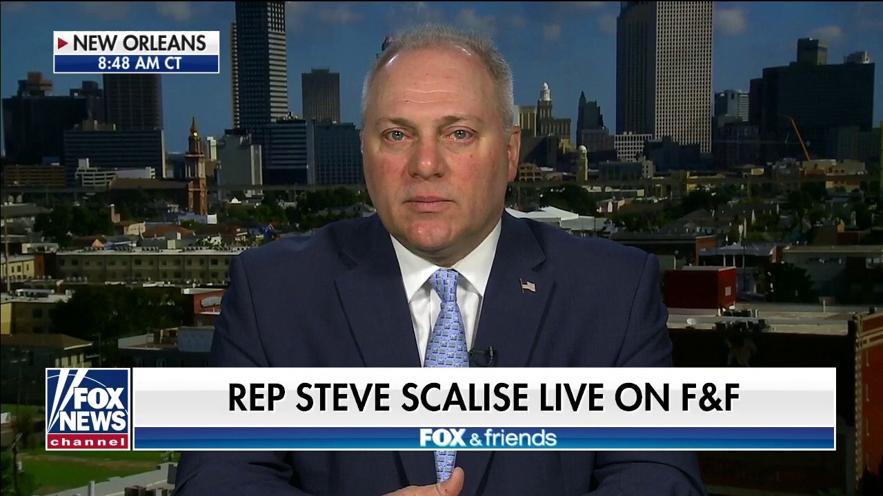 Steve Scalise: There's a visible 'meltdown' in the Democratic Party 