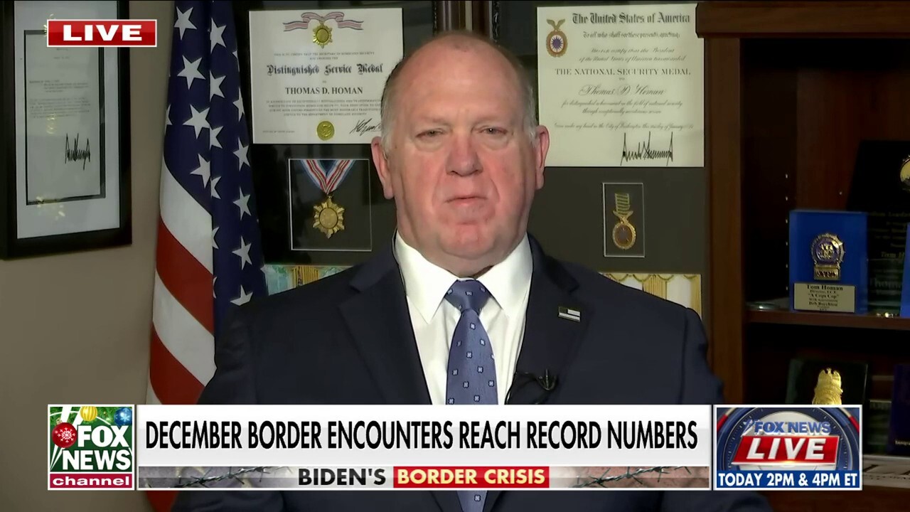 Tom Homan sends message to lawmakers over border crisis: 'Stay in DC and do your job'