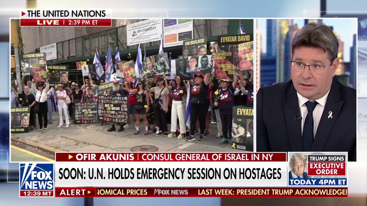 Consul general of Israel in NY urges that there is 'no starvation in the Gaza Strip'