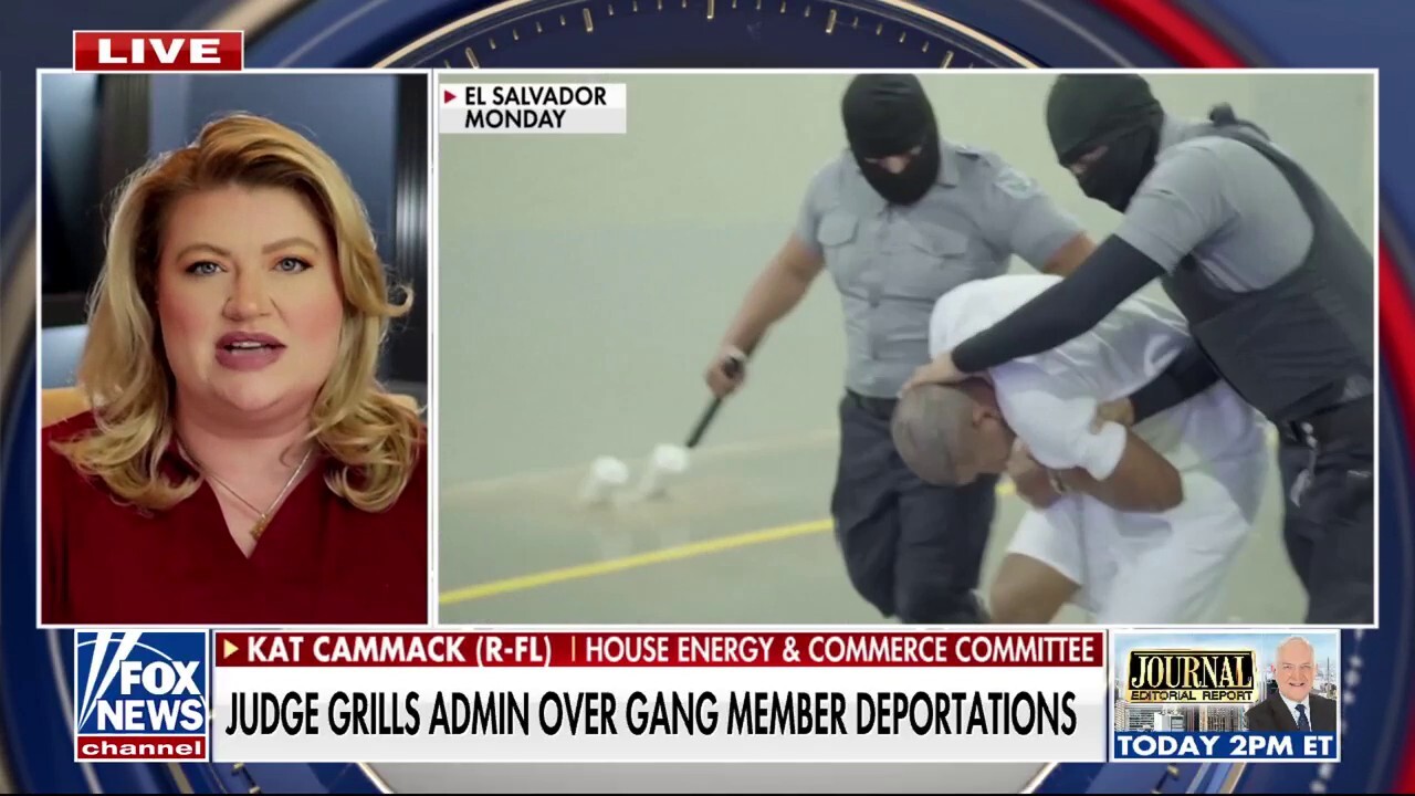 'It's ridiculous': GOP rep. slams activist judges for 'absurd' gang deportation stance