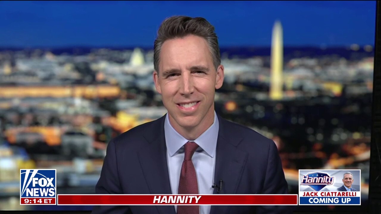 Democrats need to get back to work, says Sen. Josh Hawley