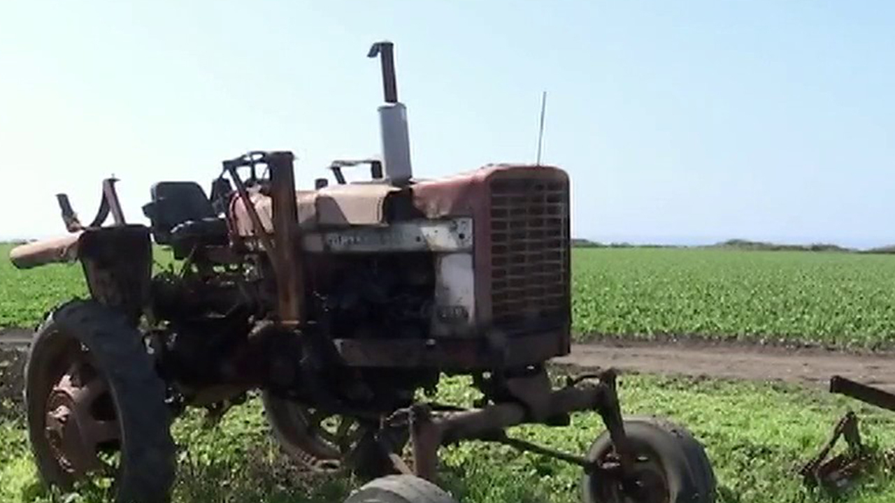 Farmers Let Crops Rot Throw Away Milk As Food Bank Demand Soars Fox