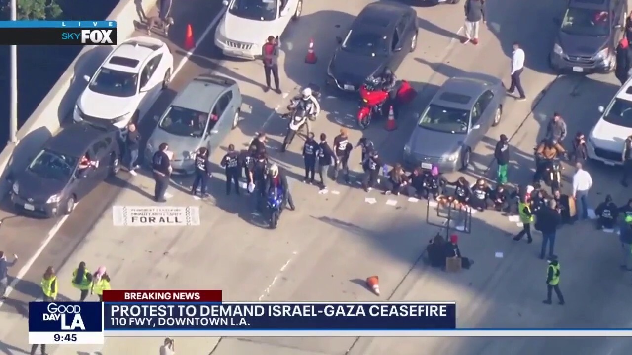Ядосани пътуващи се сблъскват с пропалестински протестиращи, блокиращи магистралата на Лос Анджелис по време на час пик