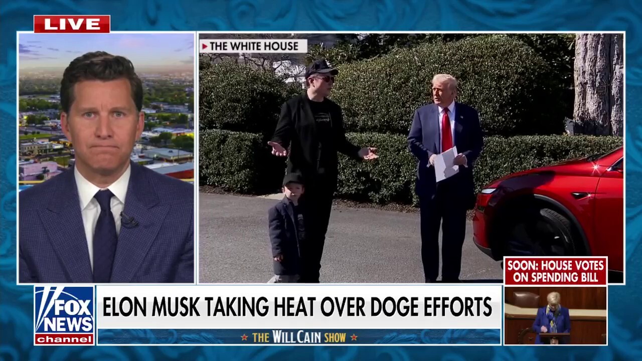 Will Cain: Elon Musk has made big financial sacrifices to oversee DOGE