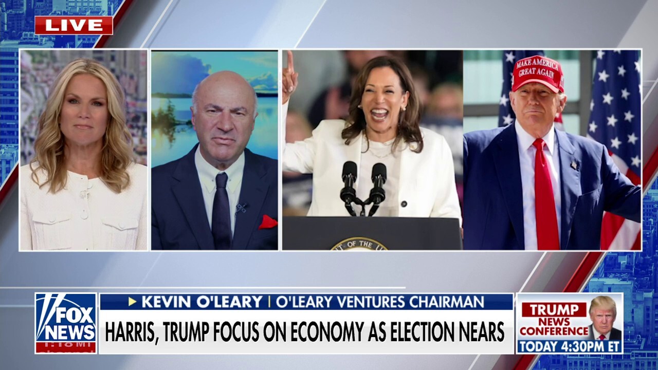 Kamala Harris' 'bash everything' strategy will lose the election: Kevin O'Leary