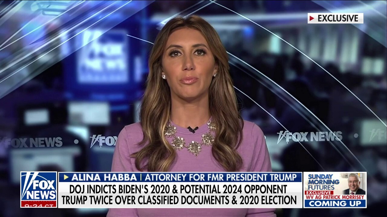 Trump attorney Alina Habba accuses Dems of using indictments as distractions: 'They're afraid'