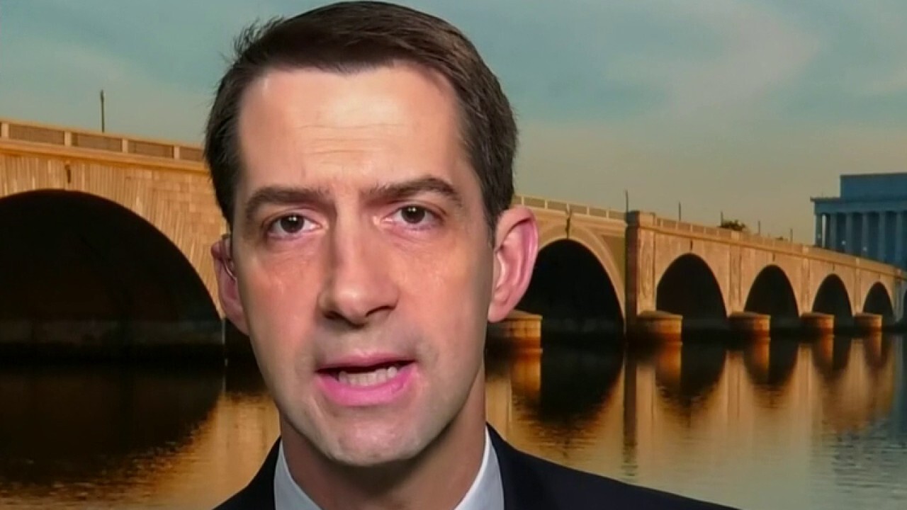 Sen. Cotton to US businesses: Hang on, help is on the way