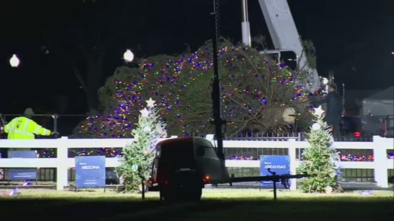 White House Christmas tree toppled to the ground amid high winds