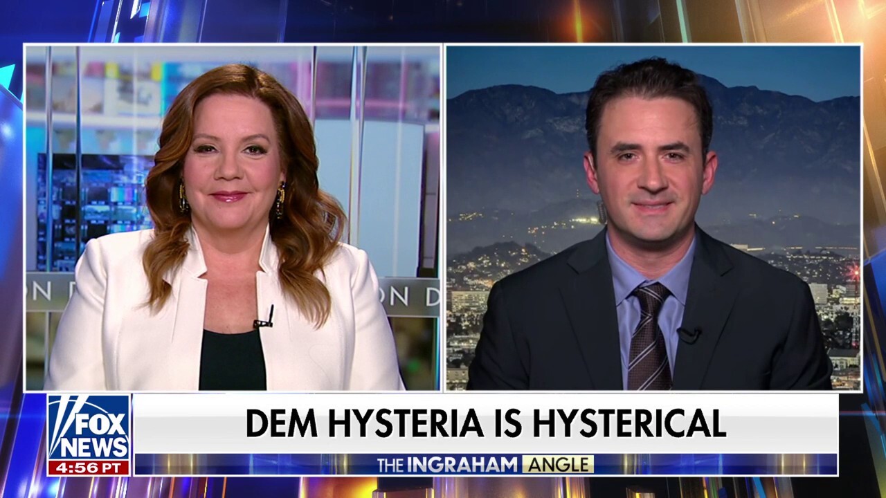 ‘It’s hard to be a Democrat right now,’ commentator observes