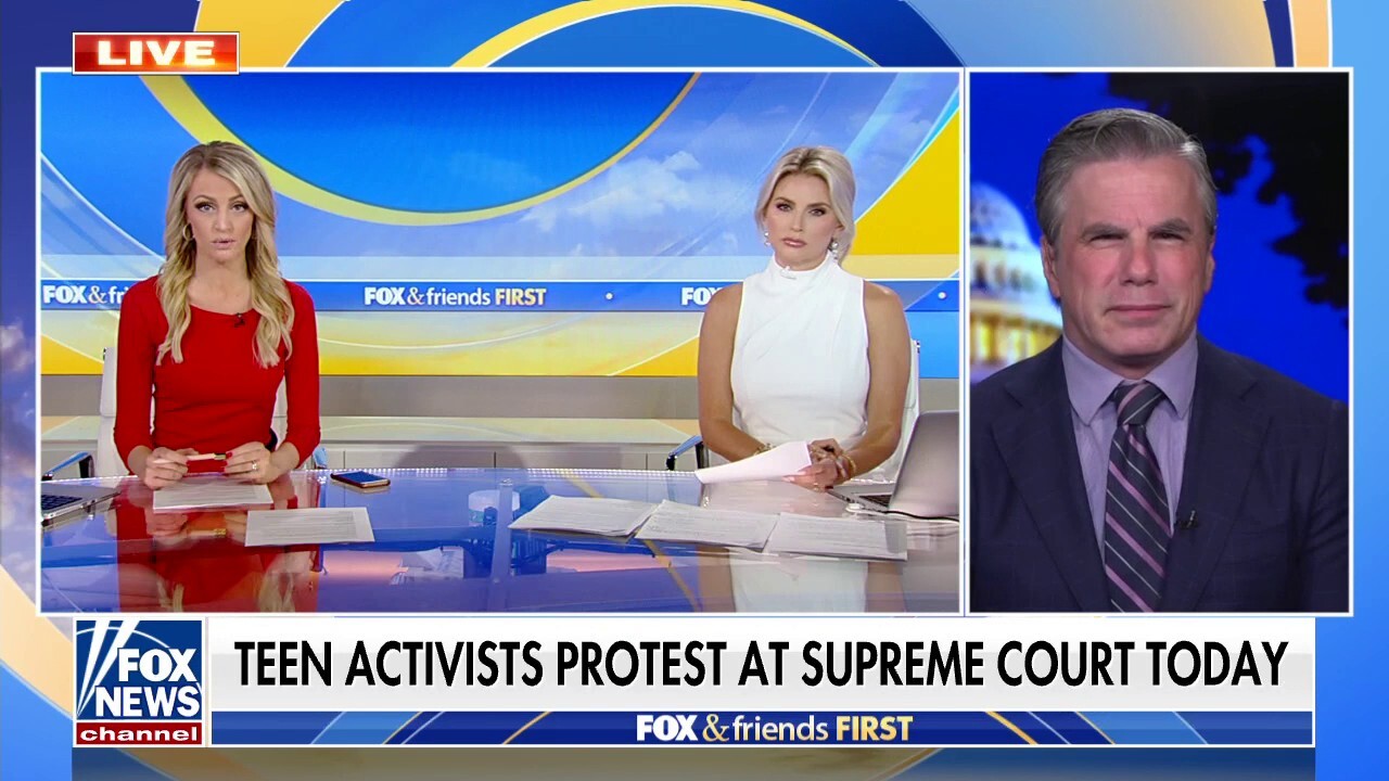 Fitton slams attacks on pro-life pregnancy centers: 'They're attacking mothers'