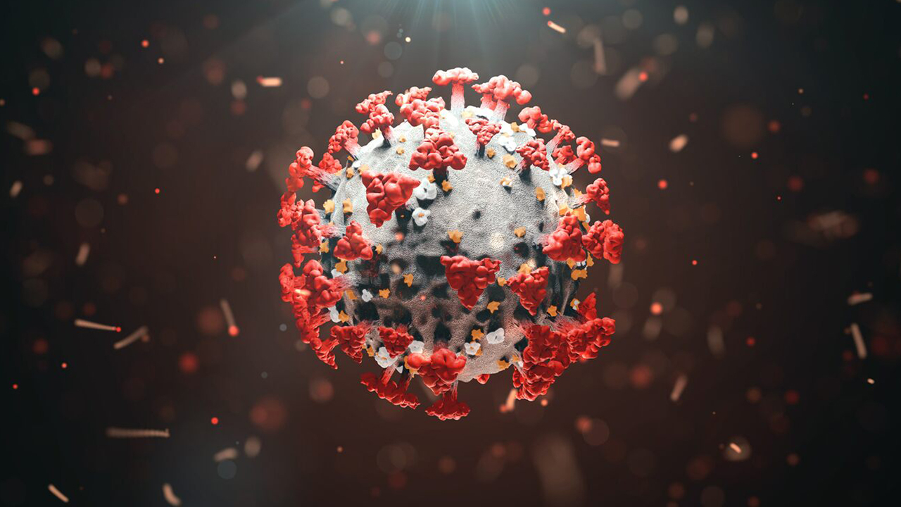 New study shows coronavirus lockdowns are ineffective 