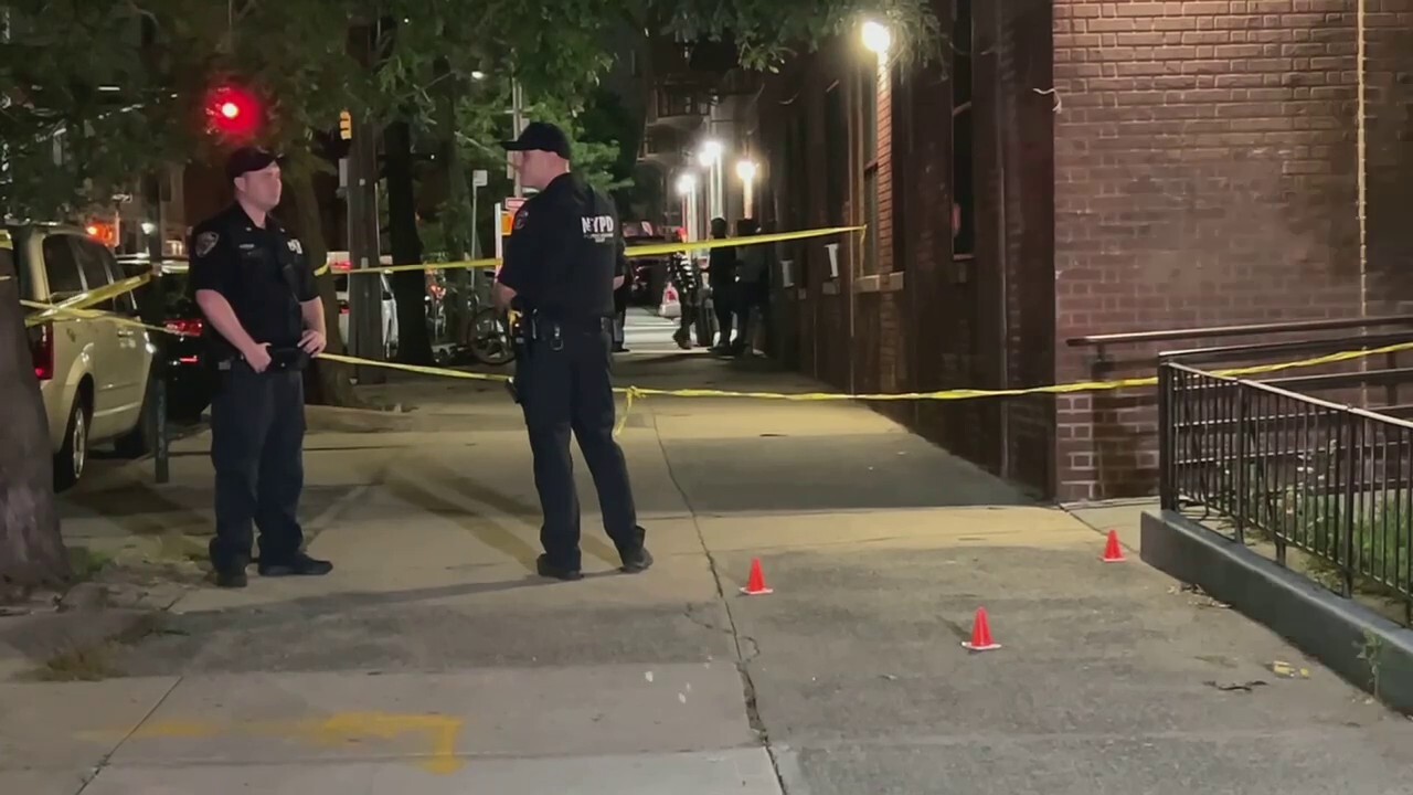 Girl, 17, shot and killed outside of her Brooklyn apartment building