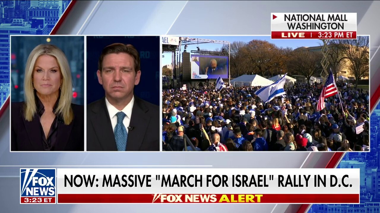 Ron DeSantis: Seeing a pro-Israel rally is a good sign
