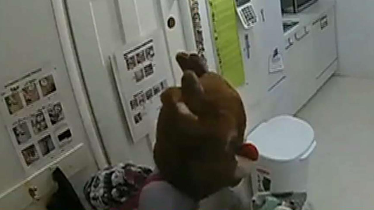 'Rudolph the red-nosed burglar'? Police in Colorado hunt for costume-wearing thief caught on surveillance camera