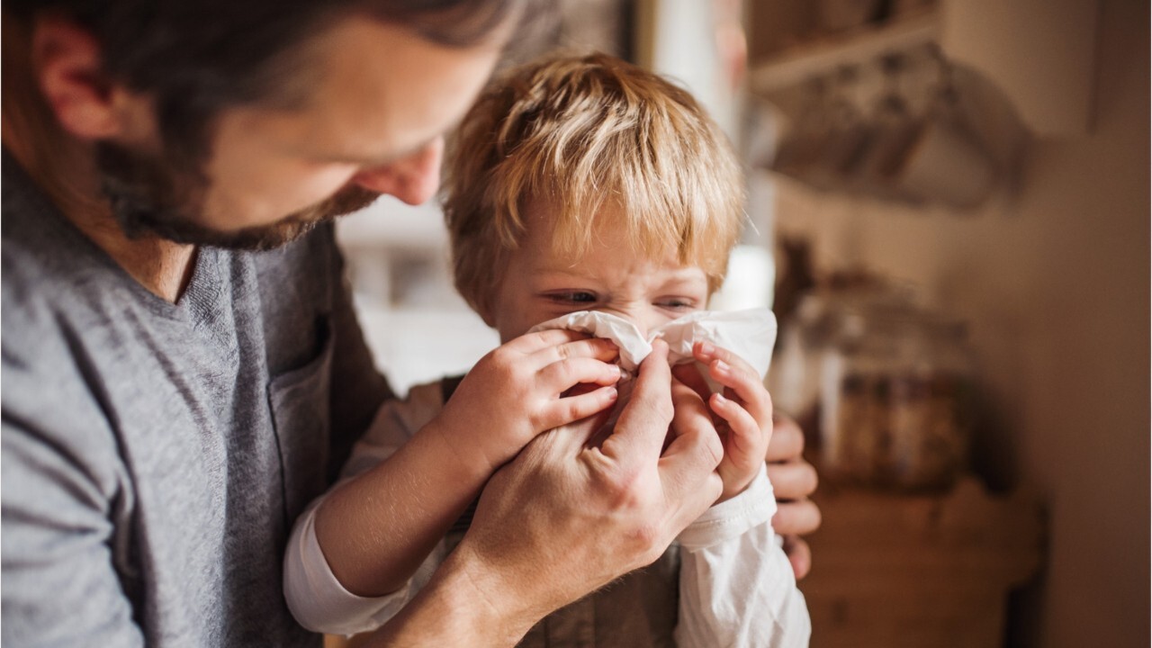 Pollen could increase coronavirus infection susceptibility, study suggests