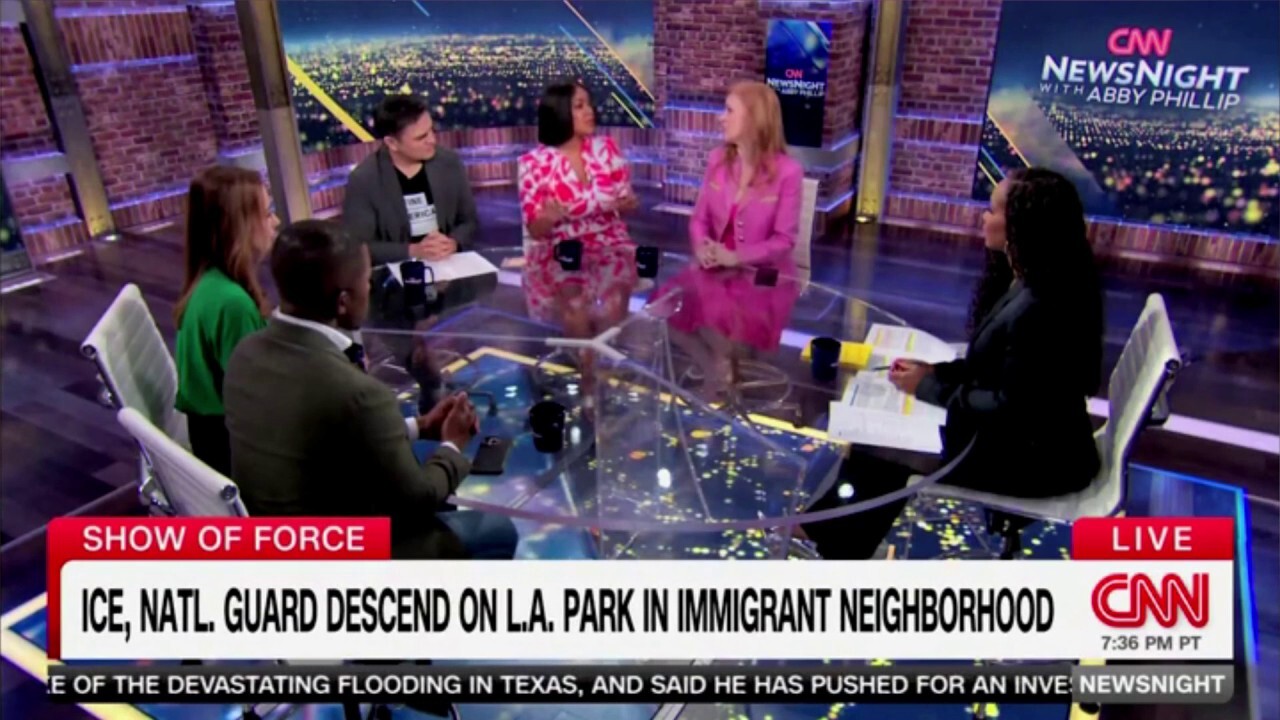 Ex-MSNBC host accuses Trump administration of 'kidnapping' people and 'transporting them to concentration camps’