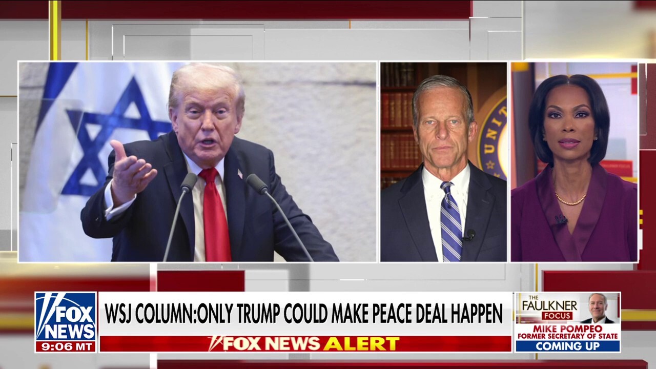 Sen. Thune blasts Dems for stalling shutdown deal: ‘This needs to stop’