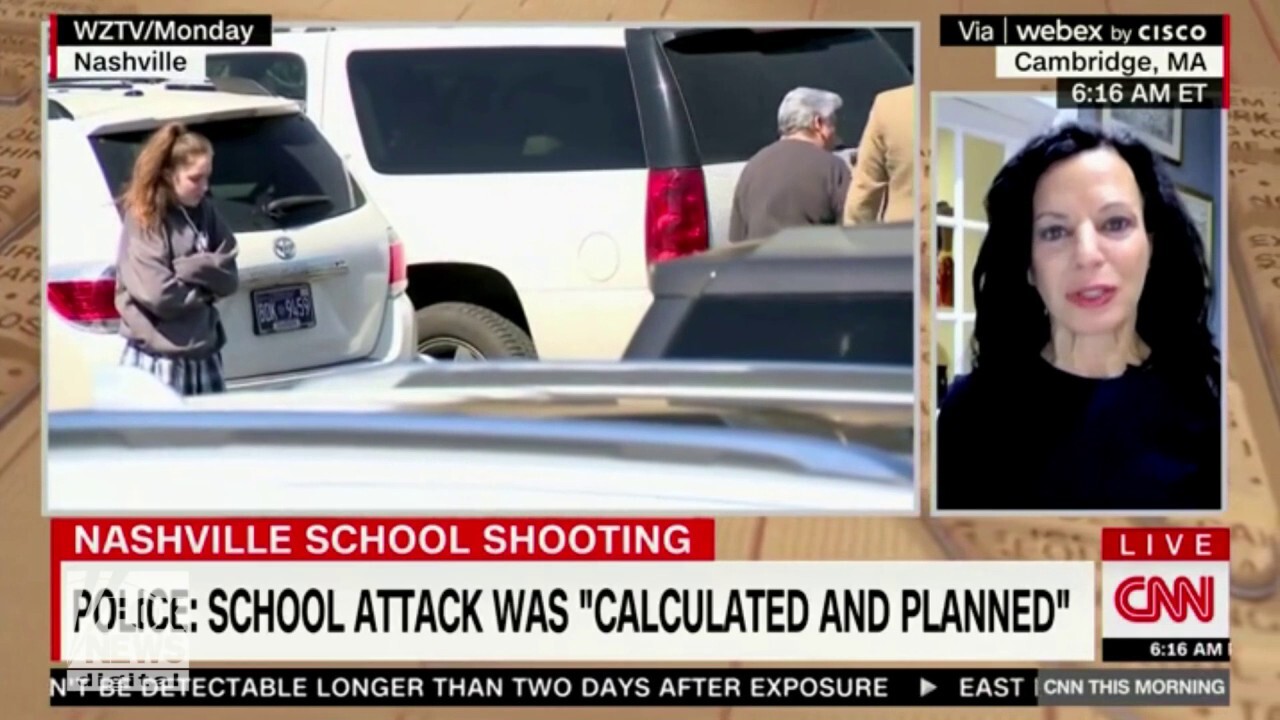 CNN analyst calls shooter's identity a 'distraction': 'Pronouns do not kill children, people with guns kill’