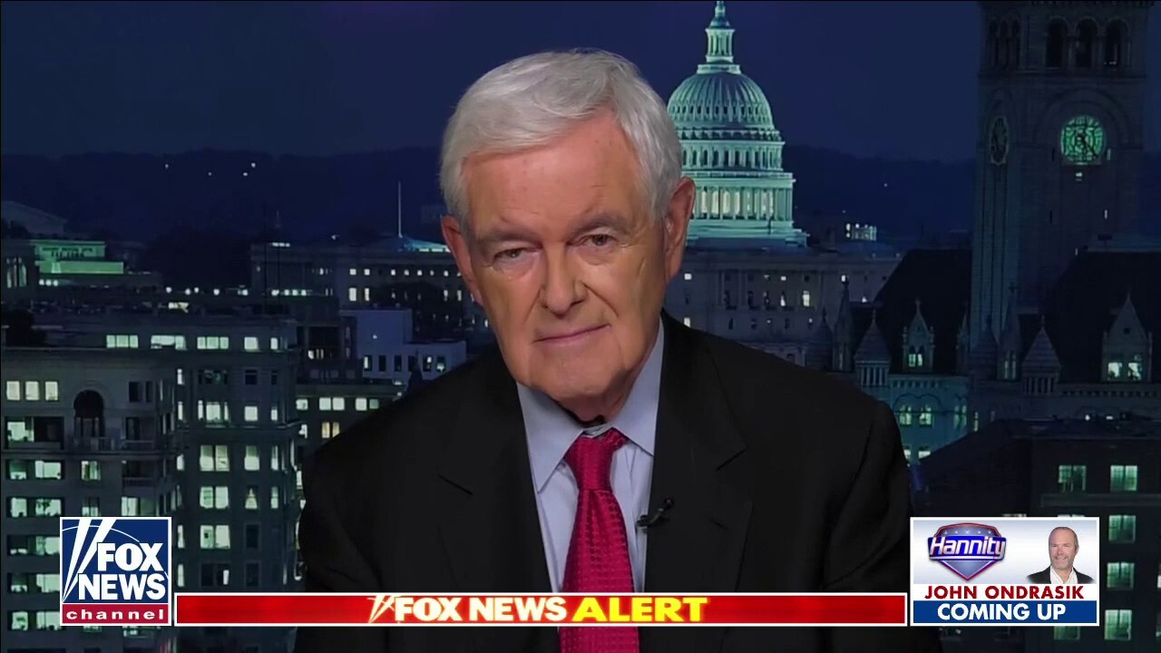 Newt Gingrich: Americans tired of being browbeaten by radicals