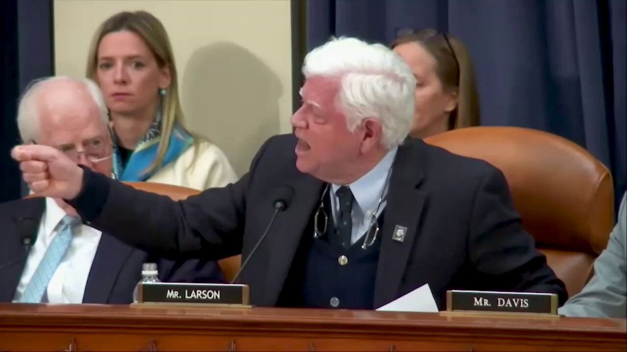 House Dem goes on screaming rant against Elon Musk, DOGE: 'Shame!'