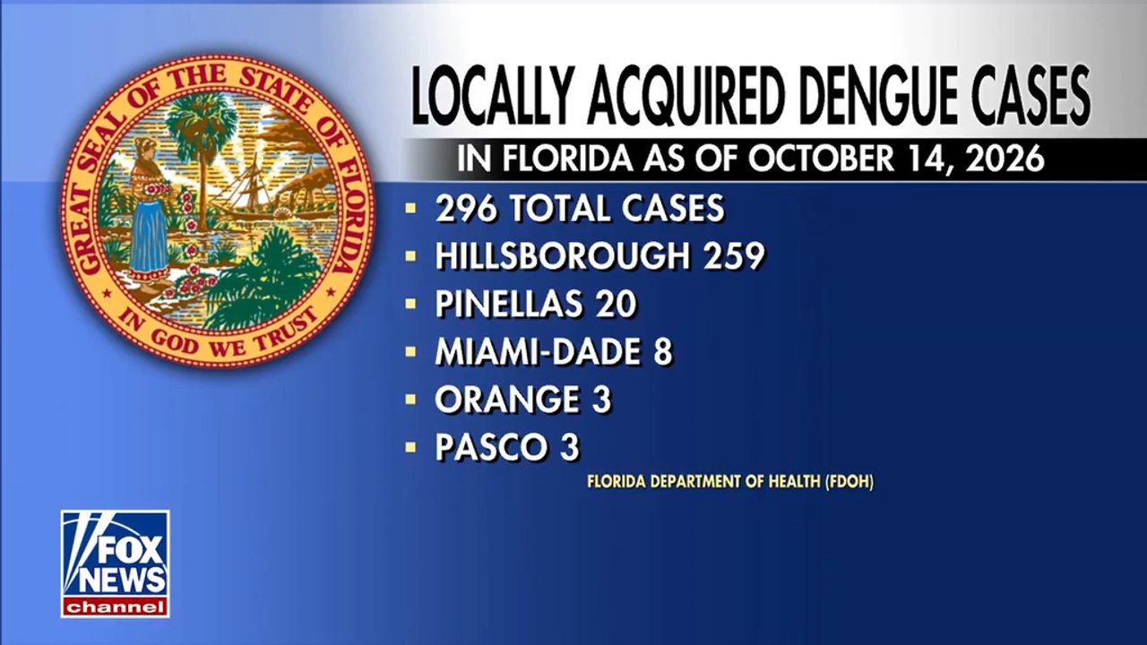 Florida battles largest dengue fever outbreak in decades