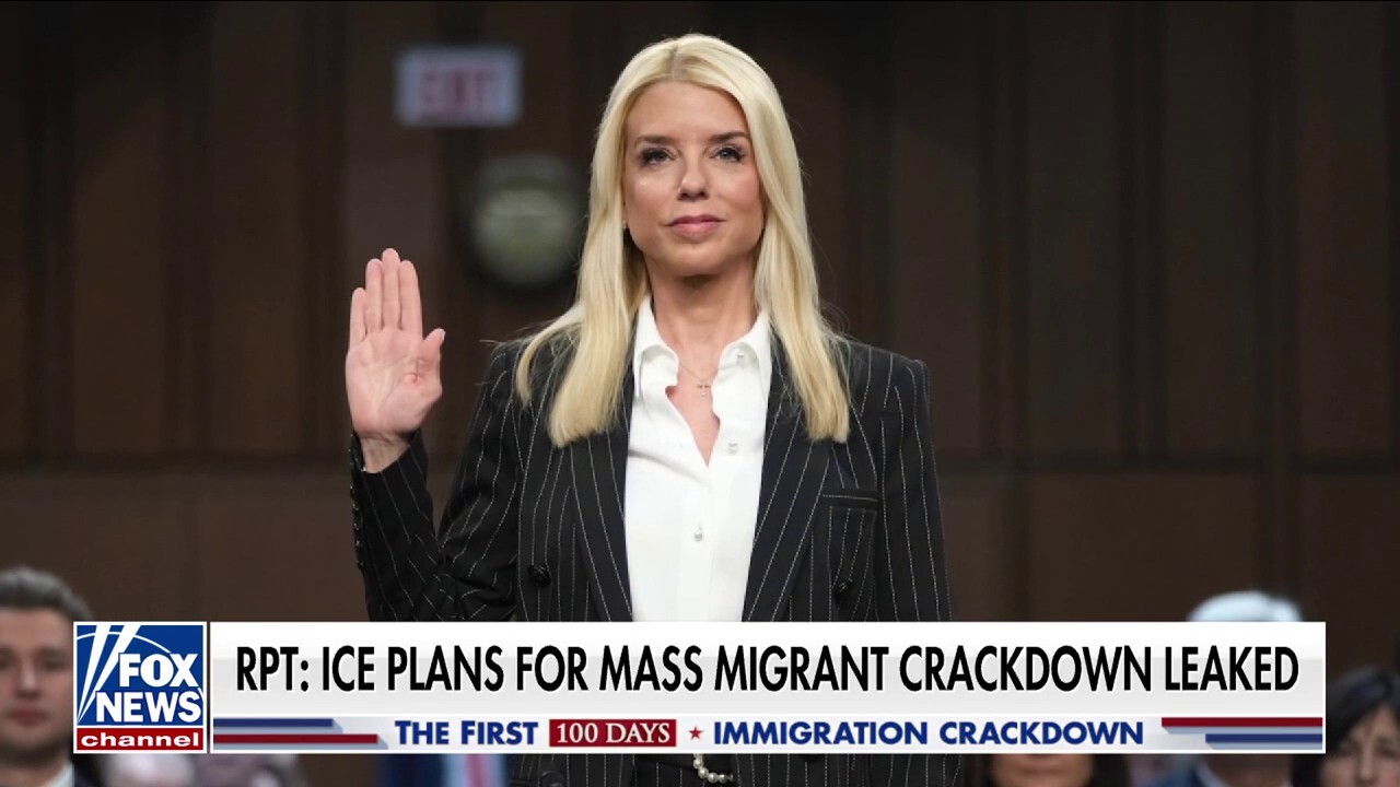 ICE plans for next mass migrant crackdown reportedly leaked