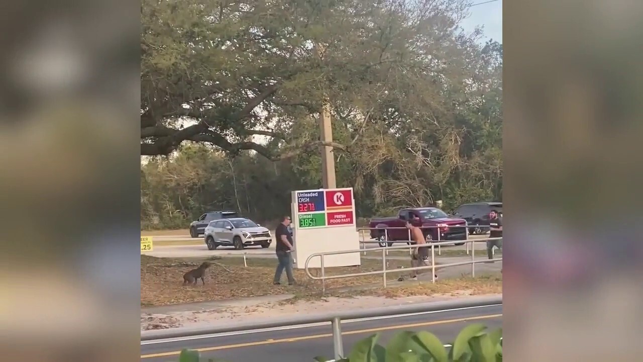 Bystanders fight Florida man accused of beating dog with chain