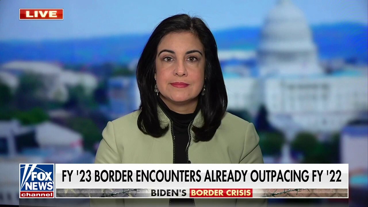 Rep. Nicole Malliotakis on border crisis: Don't know who Biden is prioritizing other than the cartels