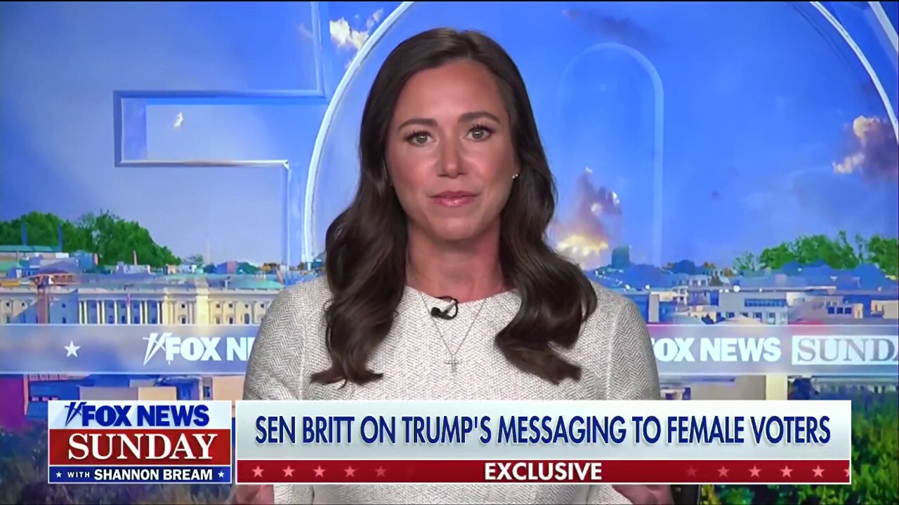 Democrats continue to use IVF issue as a 'scare tactic': Sen. Katie Britt