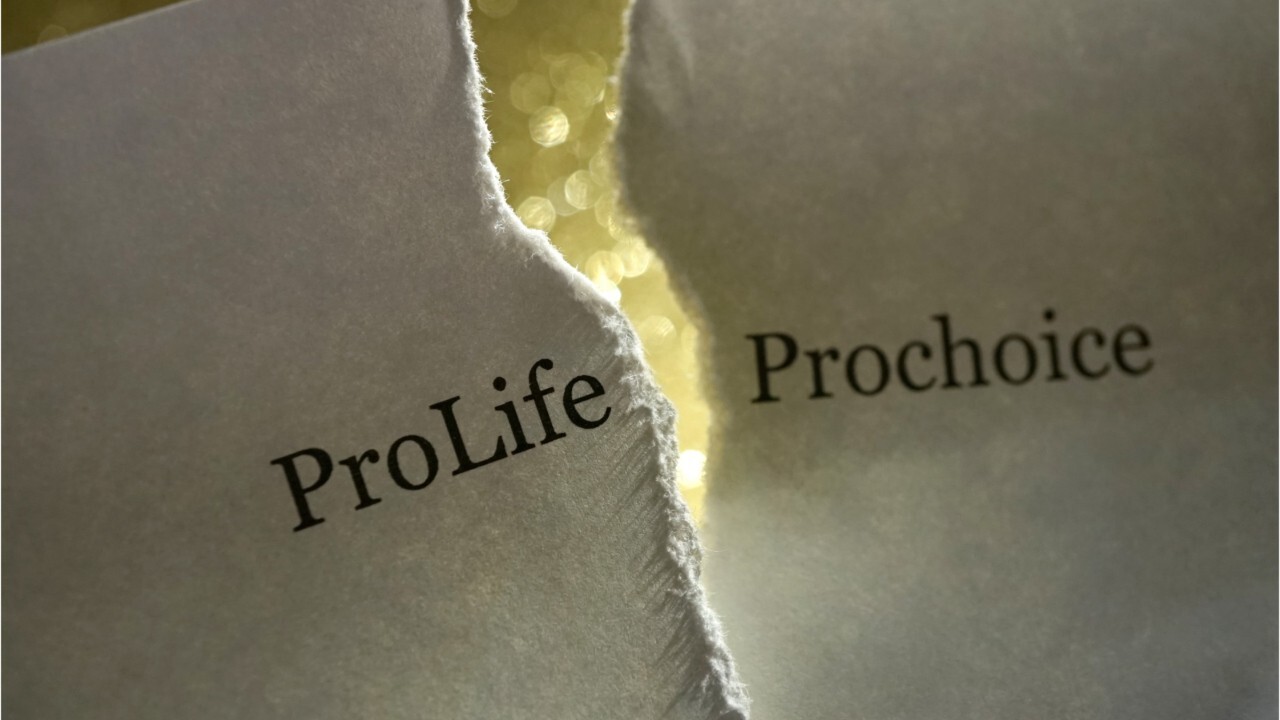 What does 'pro-life' mean?