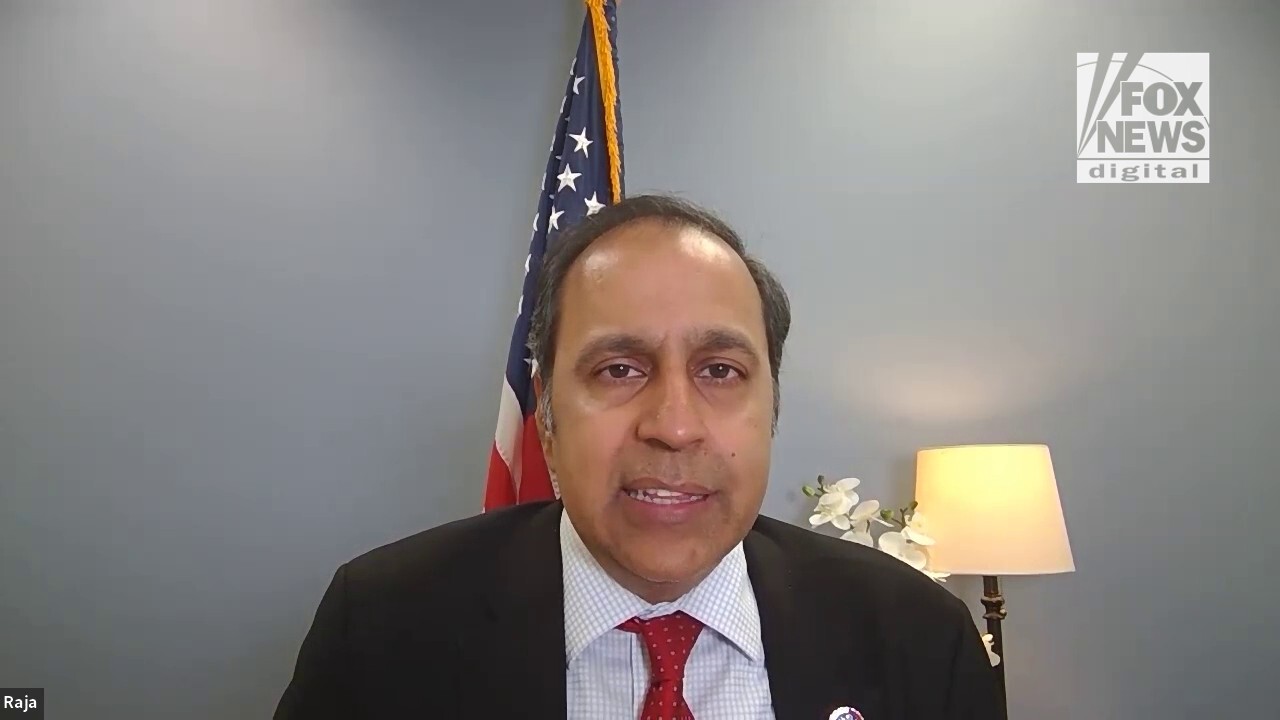 US must stand with Ukraine for 'long term' battle with Russia: Rep. Krishnamoorthi