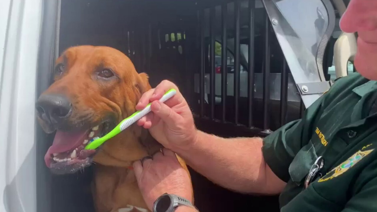 K9 gets minty fresh for meet-and-greet with fans in Florida