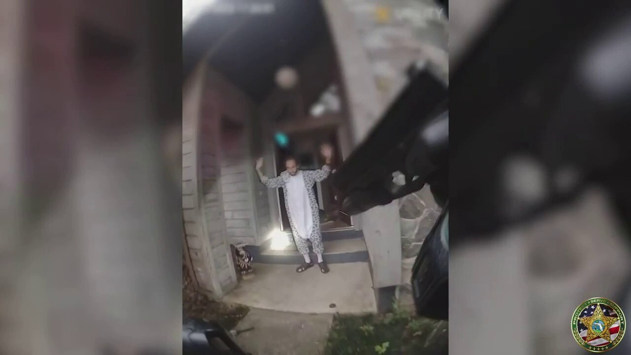 Florida man in cat costume arrested after stabbing roommate in neck, police say