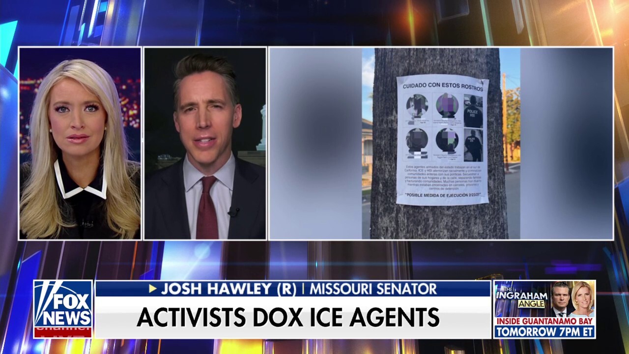 Leaked info on ICE raids is evidence of the 'deep state at work,' Sen. Josh Hawley argues