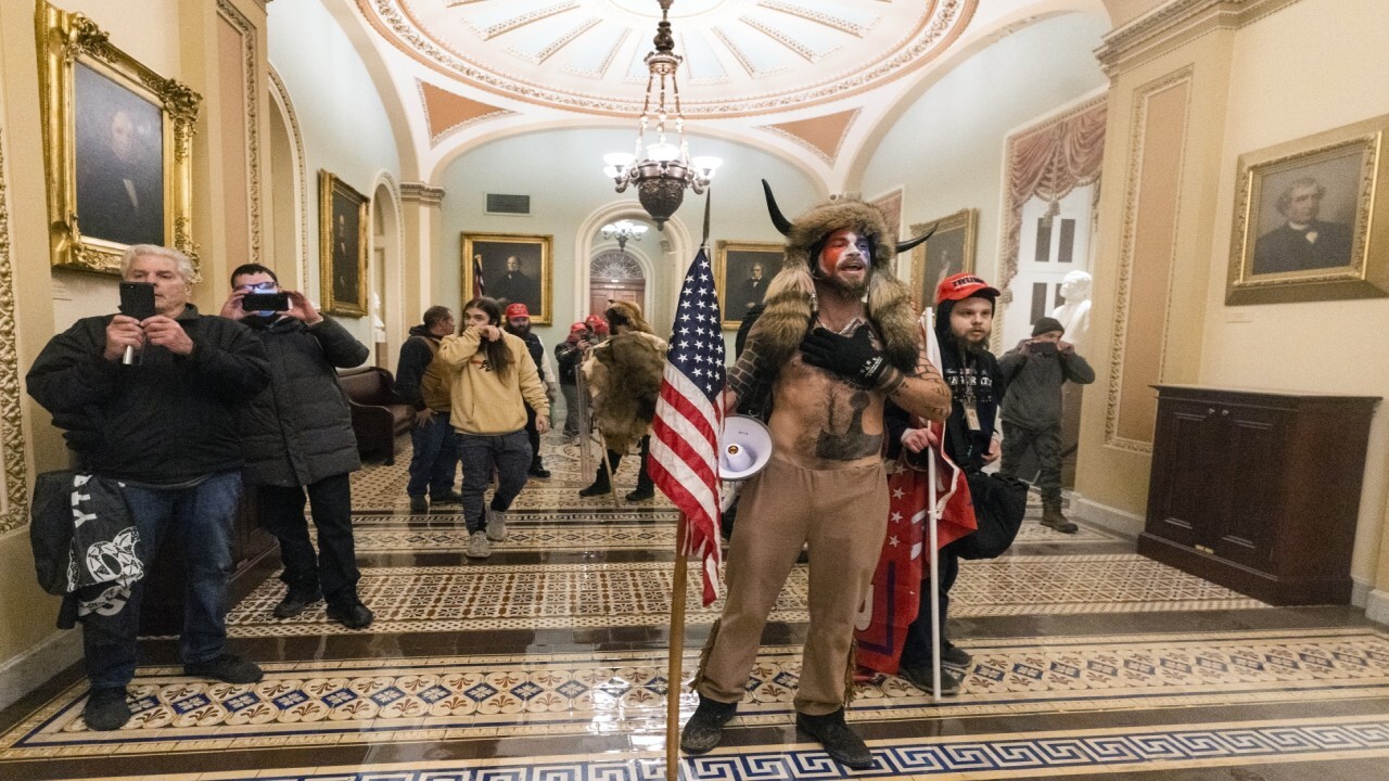 Rep. Waltz: Rioters at Capitol don't represent 'the busloads of great Americans and Trump supporters'  