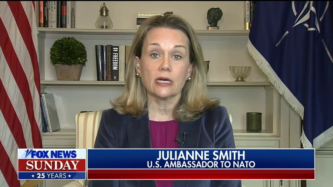 US sanctions are impacting Russian economy: US ambassador to NATO