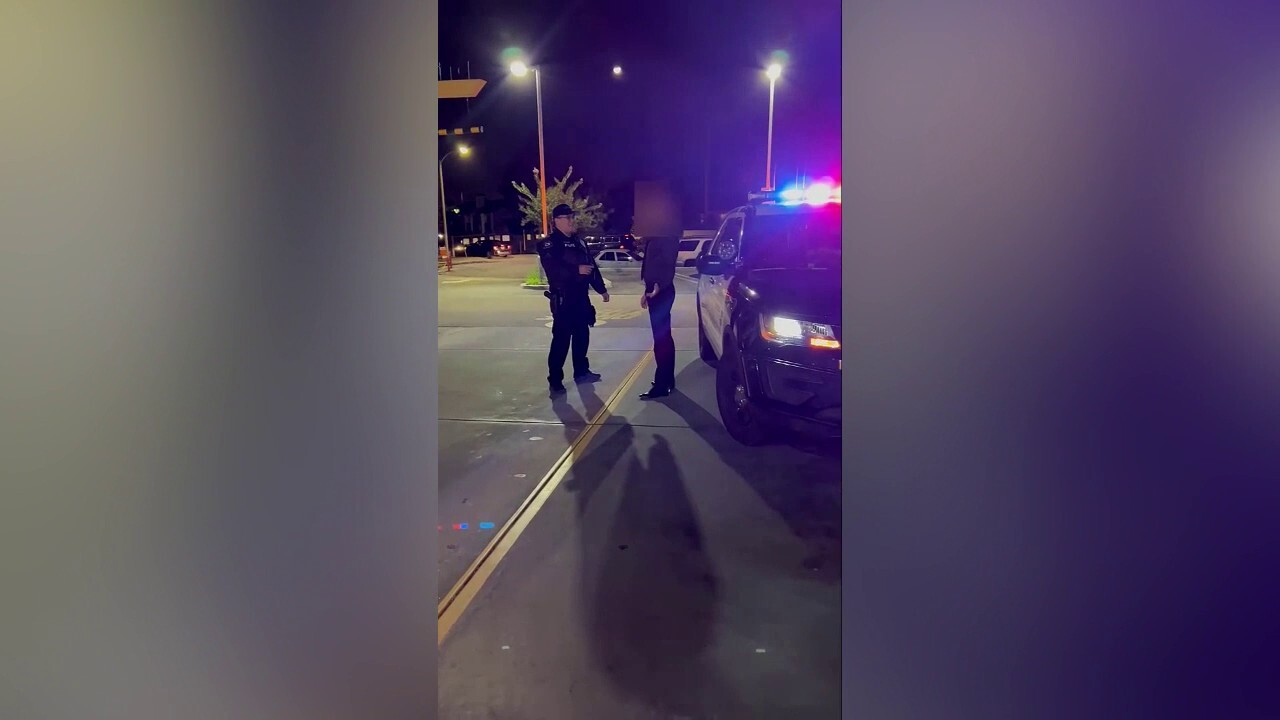 Video shows Los Angeles DA's righthand man arrested on public intoxication charge