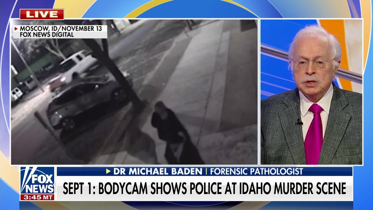 Dr. Michael Baden on possibility of Idaho investigation becoming a cold case: 'This has to be kept in mind' 