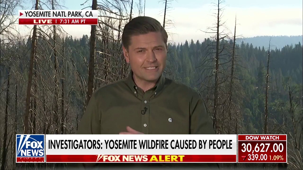 Officials Say Yosemite Wildfire Likely Caused By People Fox News Video 