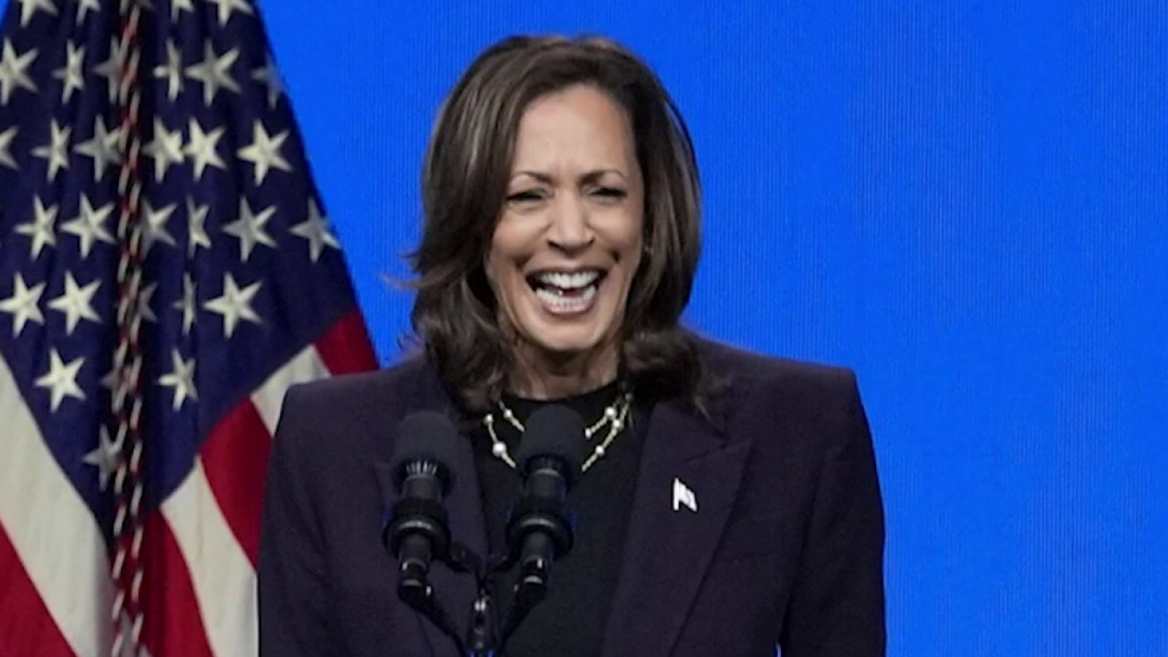 Who's behind Democratic talking points contending Kamala Harris was never 'border czar'?