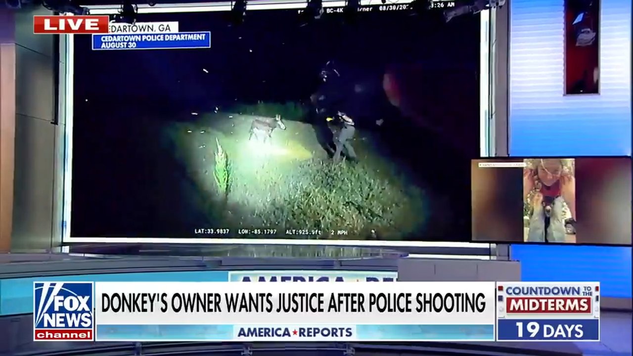 Donkey owner demands justice after police shooting kills beloved pet