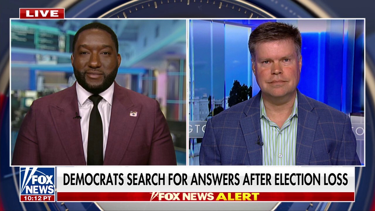 Strategist says 2024 losses are ‘not Biden’s fault’: Dems were ‘annihilated’ because of their own ‘hubris’