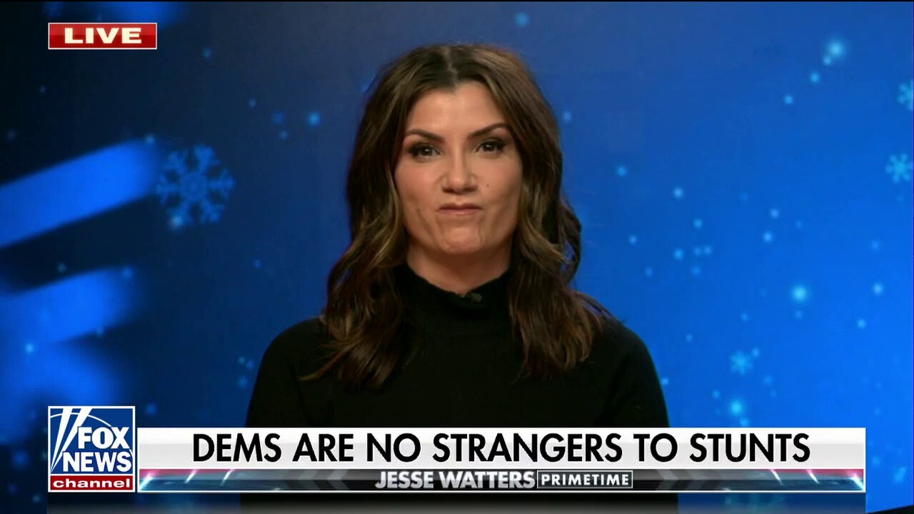 John Fetterman has the style of a teenage boy: Dana Loesch